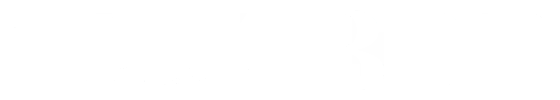 zzzz com